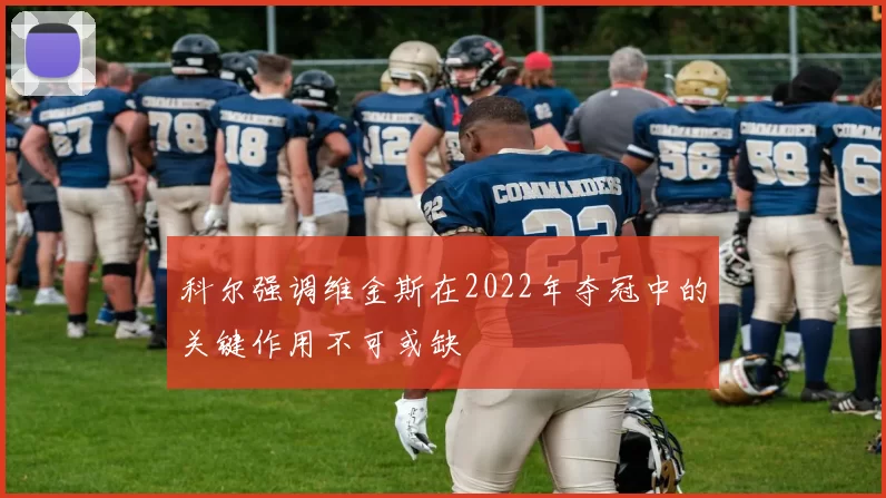 科尔强调维金斯在2022年夺冠中的关键作用不可或缺