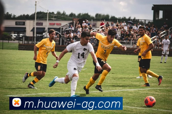 多媒体互动体验